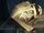 Kazon ship