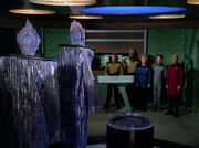 "What a handsome race