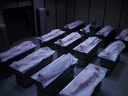 The twelve dead bodies