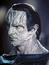 Guldukat