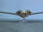 HMSBounty.jpg