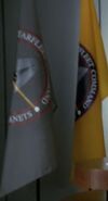 Two Starfleet flags