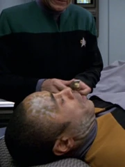 Ashmore (Silberblut) 2375