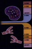 Footprint sample 1