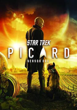PIC Season 1 DVD