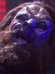 Terev in der Agonie-Kammer.