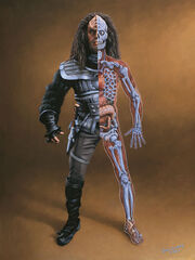 Klingon anatomy small