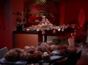 Tribbles in der Bar