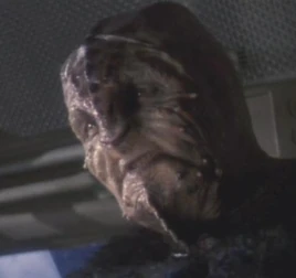 ...as the Markalian dockmaster ("The Seventh")