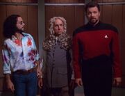 Ginsberg, Newton and Riker
