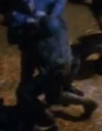 Jim Hart, The Killing Game, Part II.jpg (6 KB) Stunt double for Robert Duncan McNeill VOY: "The Killing Game, Part II" (uncredited)