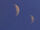 Archer IV moons.jpg