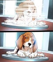 Porthos alternate