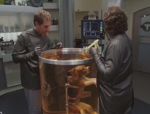 Porthos in surgery super-hydrated cs
