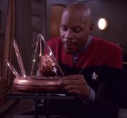 Sisko, Saltah'na clock