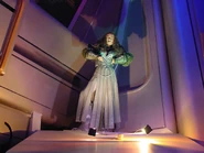 STTE-Female Klingon.jpg (302 KB) A female Klingon warrior