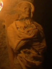 Eine vulkanische Mumie (2154)