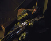 Alpha-Hirogen in chair