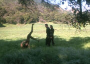 Cartwheel