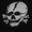 Nazi-SS death's head collar badge.jpg