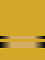 Lieutenant insignia