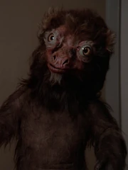 Cindy Sorensen als pelziges Tier