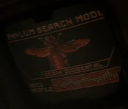 Phylum search mode - Crisia occidental (Cicada).jpg (14 KB) Cicada (reversed image) Crisia occidental