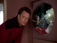 Q and Livingston.jpg (780 KB) Q with Livingston, a lionfish kept by Picard in his ready room
