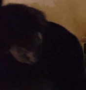 Chris Doyle, The Host.jpg (11 KB) Stunt double for Franc Luz TNG: "The Host" (uncredited)