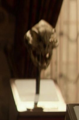Y'Shi's skull