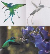 Ba'ku hummingbird concept