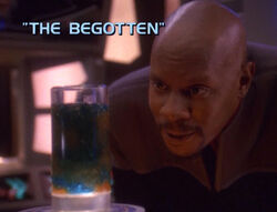 "The Begotten"