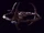 Deep space 9.jpg