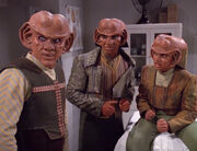 Ferengi