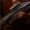 Ferengi disruptor rifle, 2374.jpg