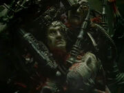 Borg corpses