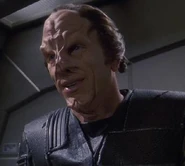 Firek Goff ENT: "Precious Cargo"