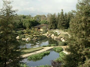 Japanese garden