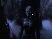 Seven of Nine auf der Planetenoberfläche