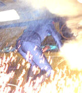 Tom Morga, Body and Soul.jpg (26 KB) Stunt double for Fritz Sperberg VOY: "Body and Soul" (uncredited)