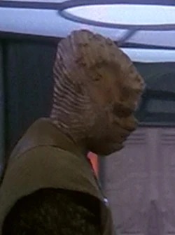 Waiting tables in Quark's