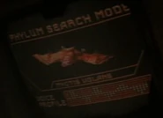 Phylum search mode - Myotis volans.jpg (13 KB) Myotis volans