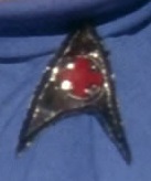 Starfleet medical division patch