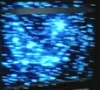 きょしちょう座47 Memory Alpha Fandom