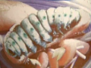 Tube grub stew.jpg (41 KB) Tube grub stew graphic