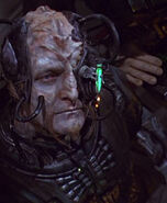 Borg klingon