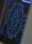 Fractal patterns 2.jpg (9 KB)