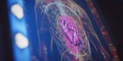 Klingon heart diagram - choHa