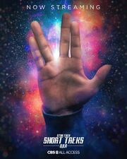 Q&A poster