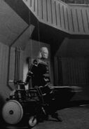Daphne Ashbrook on wires and wheelchair.jpg (53 KB) Daphne Ashbrook (p. 93)